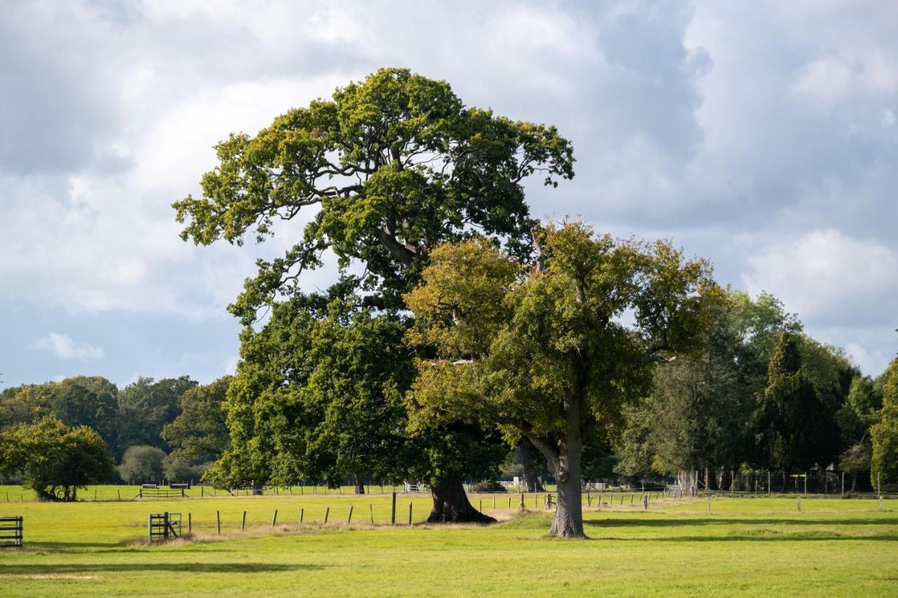 New Park Manor Hotel - A Luxury Family Hotel Brockenhurst Esterno foto